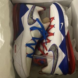 Size 14 Lebron XVII (Tune Squad) Low.